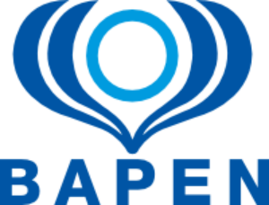 British Association of Parenteral and Enteral Nutrition (BAPEN)